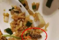 寧波知名小龍蝦店攤上事了?顧客吃到蟑螂 店家這樣說…